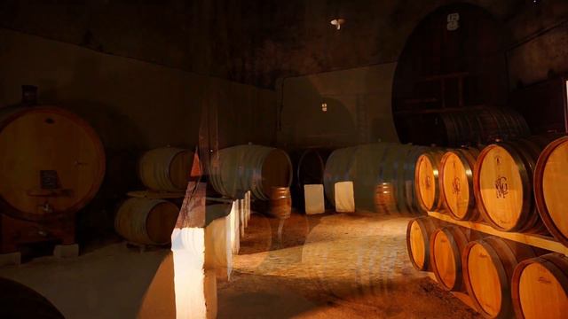 VINS du LANGUEDOC : visite au domaine du Mas Granier - Les 5 V смотреть онлайн