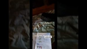 Снятие ограничения скорости электровелосипеда.