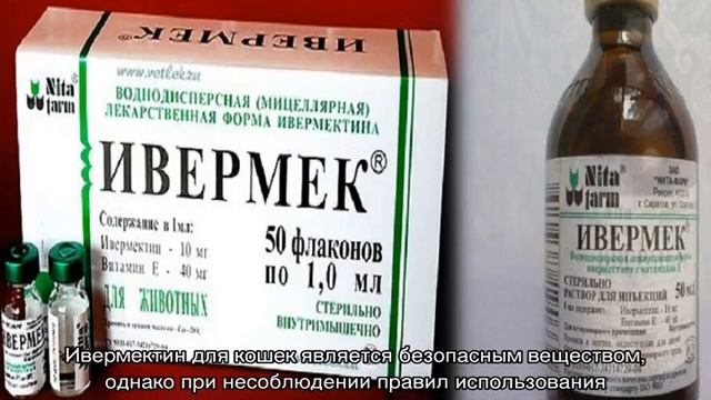 Ивермек: инструкция по применению для кошек смотреть онлайн