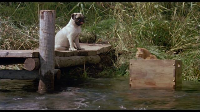 The Adventures of Milo and Otis (1986) Trailer смотреть онлайн