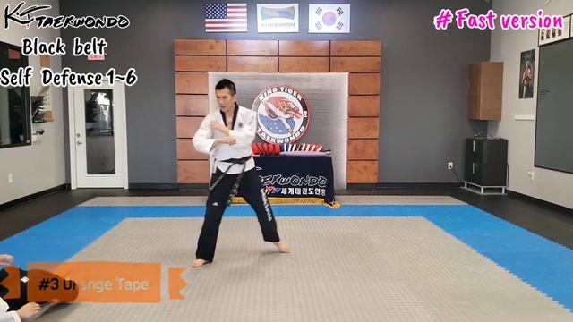 Self Defense #1~6 KT Taekwondo 1st Dan Black Belt смотреть онлайн