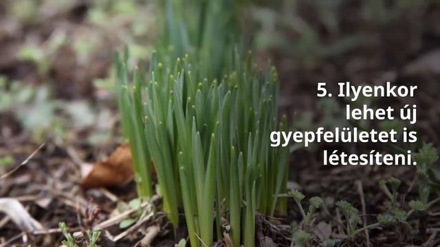 9 fontos kertészeti feladat áprilisban! смотреть онлайн
