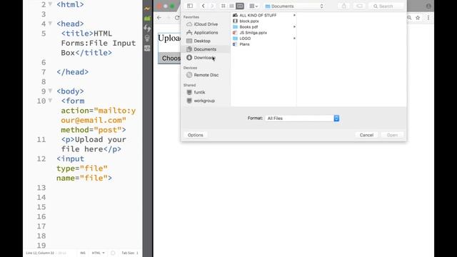 HTML and CSS Tutorial for beginners 57 - HTML Forms File Input Box смотреть онлайн