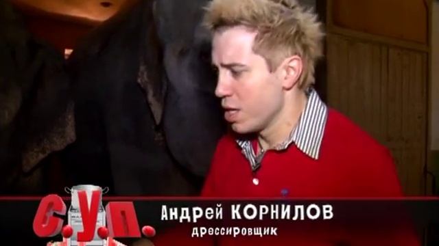 дрессировщик слонов Корнилов смотреть онлайн