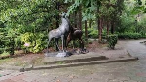 Санаторий Гурзуфский в Гурзуфе. Территория и номер. Август 2021г.