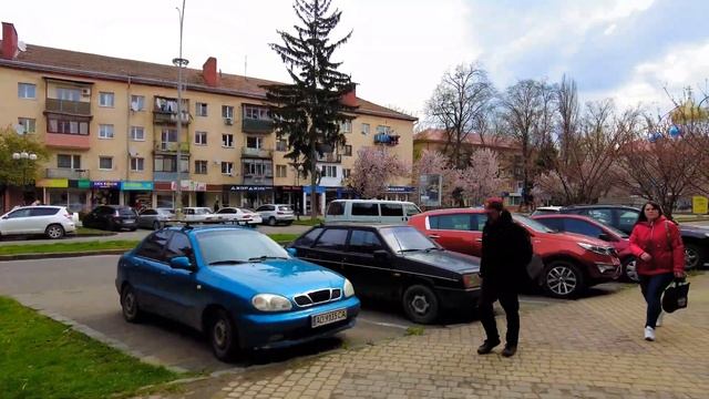 Самый цветущий проспект УкраиныУжгород Проспект Свободы Цветение сливы Писсарди яблони Недзвецкого смотреть онлайн