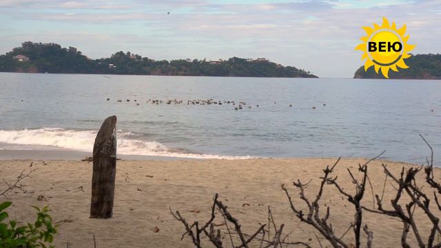 Очень мудрая притча. Ждать или строить. смотреть онлайн