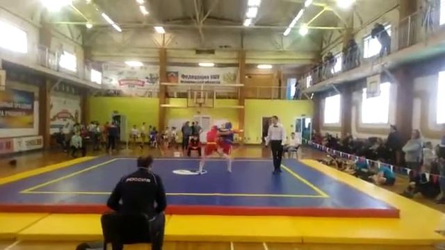 Помост для ушу саньда 8х8х0,2м купить г Ревда DNN смотреть онлайн
