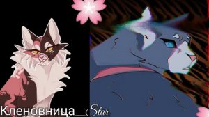 #15 Утерянные файлы /Синяя Звезда /коты воители