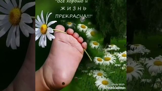 Желаю хорошего настроения смотреть онлайн