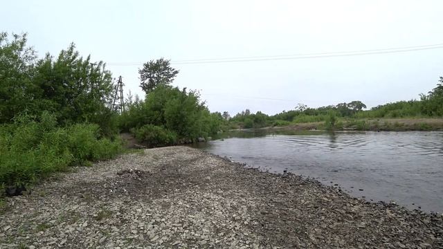 Чесапик бей ретривер.Chesapeake bay retriever. Мой помощник на охотах. смотреть онлайн