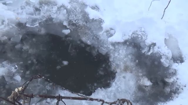 Проверка капканов. смотреть онлайн