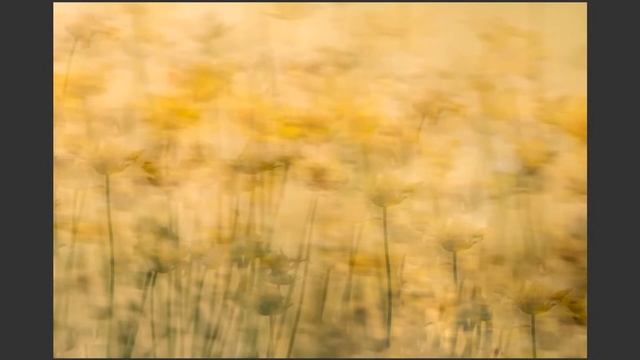 Webinar on Nature & Landscape Photography смотреть онлайн