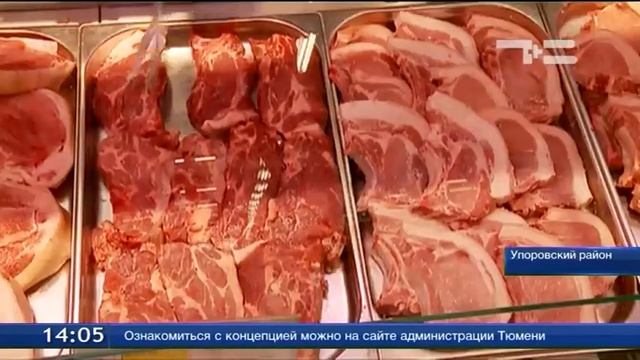 Губернатор выбирает тюменское смотреть онлайн