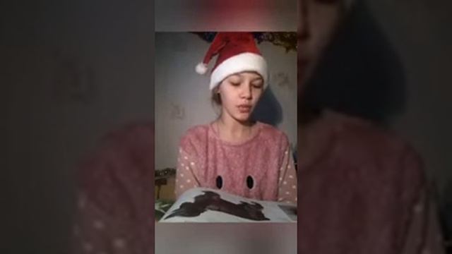 Английский кокер-спаниель 🐕