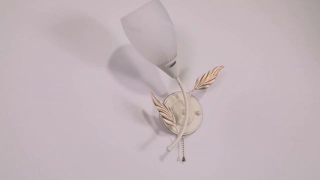 Настенное бра F-Promo Plato 2444-1W смотреть онлайн