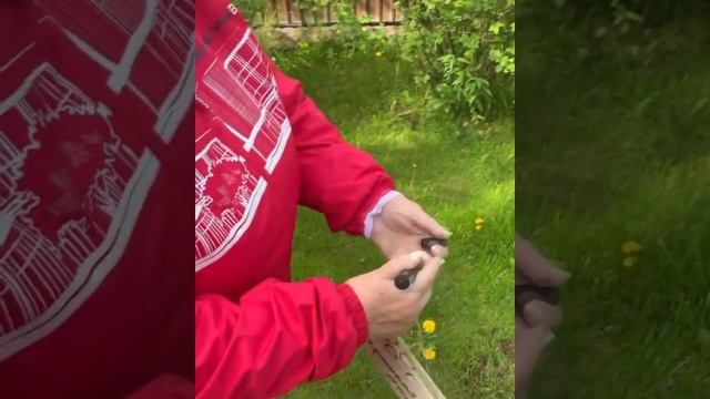 Черешневый Лес 2020 смотреть онлайн