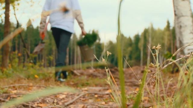 Акция "Наш лес. Посади свое дерево" в Истринском районе смотреть онлайн