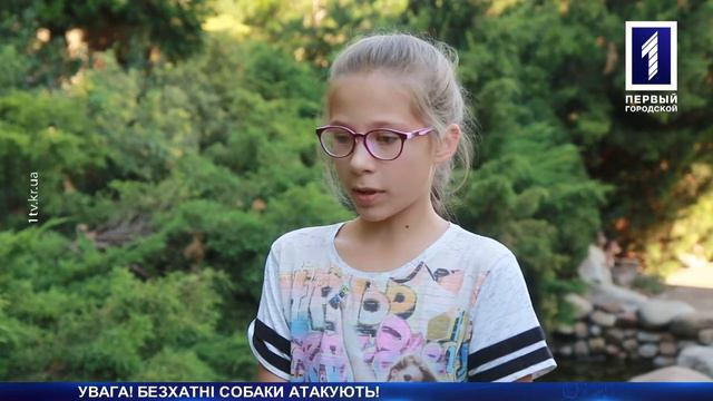 Безпритульні собаки покусали людей смотреть онлайн