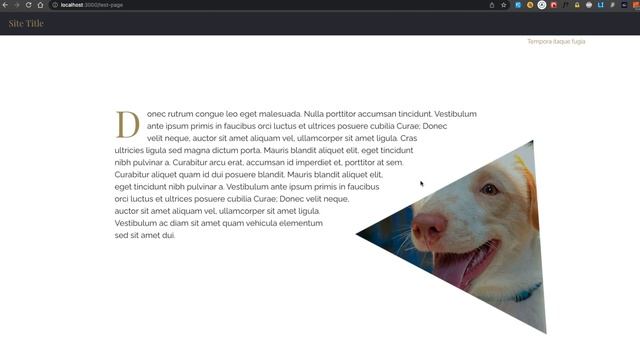 strapi react mui смотреть онлайн