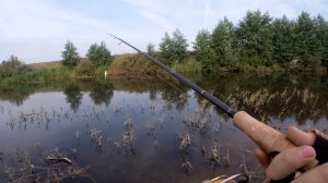 Рыбалка на Малой Реке. Щука на Поппер. С ЭТИМ ПОППЕРОМ ВСЕГДА С РЫБОЙ!