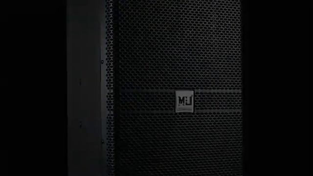 Lehuang Audio KTV Speaker KP4012