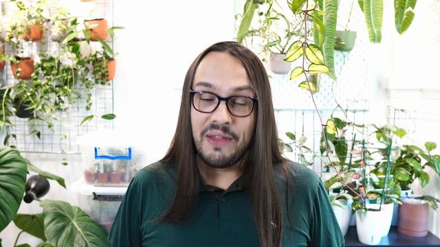 Miro's Hoya Summer Camp! смотреть онлайн