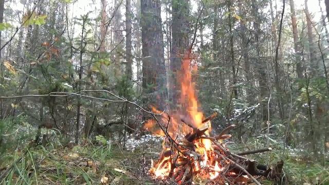 Костёр. смотреть онлайн