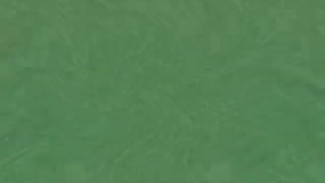 Klasky Csupo Sony Vegas Movie Studio Platinum 13.0 Effects смотреть онлайн