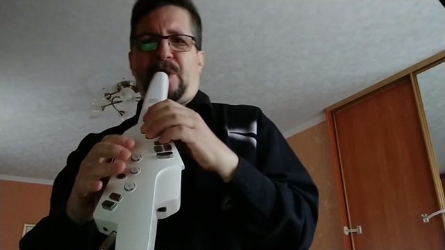 "Minor Swing" on Roland Aerophone-10 смотреть онлайн
