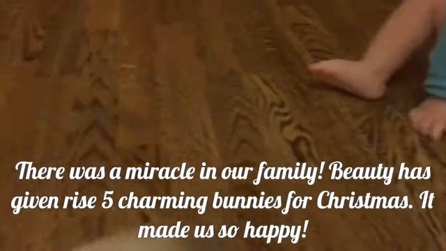 Крольчата. Первые прогулки