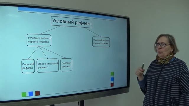 Физиологические основы ВНД