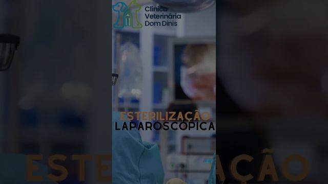 Mínima Invasão é a melhor opção! смотреть онлайн