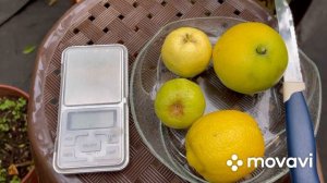 Сладкие цитрусы : лимон Дольче Бразиль , лиметты Пурша и Дольче Романа .