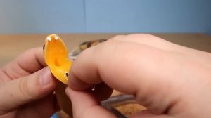 КОМОДОВАРАН и Супер Звери и Ко Тянучки ДеАгостини