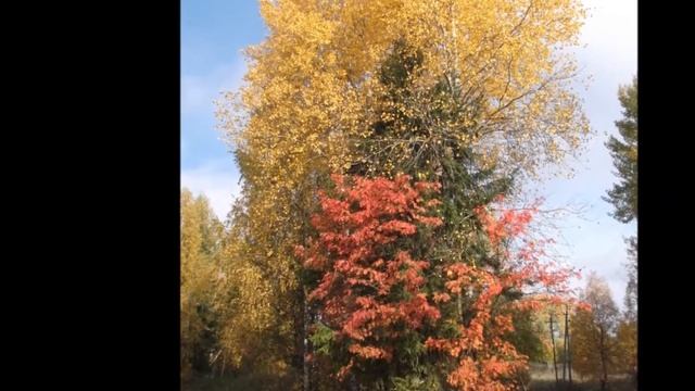 Мелодия осени смотреть онлайн