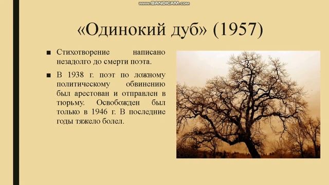 Тема 21. Н.А. Заболоцкий. Стихотворение «Одинокий дуб». Просл. силы духа, смел. и муж. в стихотвор. смотреть онлайн