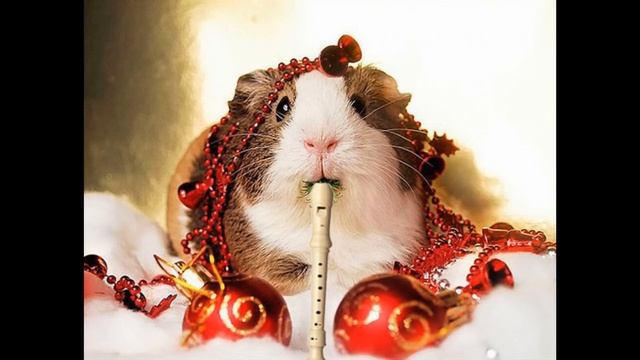 JINGLE BELLS - SHITTYFLUTED смотреть онлайн