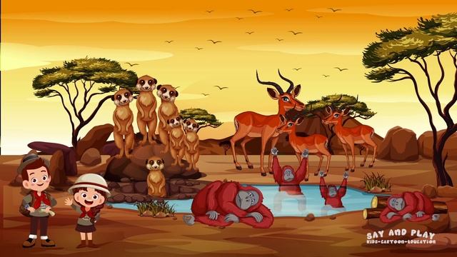 ? MATH | numbers | counting ⓬ ⓭ | kindergarten | kindergarten math | math for kids | animals смотреть онлайн