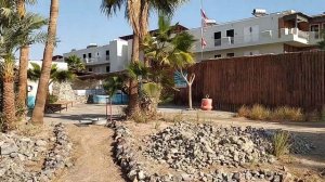 Обзор отеля в Египте Paradise Abu Soma 4* в 2023 году.