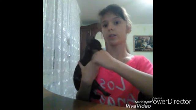 Русский той терьер ///// ПЛЮСЫ И МИНУСЫ ! смотреть онлайн