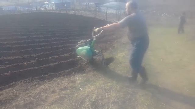 мотокультиватор (с небольшими переделками) недорогой садит картошку смотреть онлайн