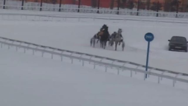 16 Февраля 2019 1 Заезд Приз имени Пермского конного завода смотреть онлайн