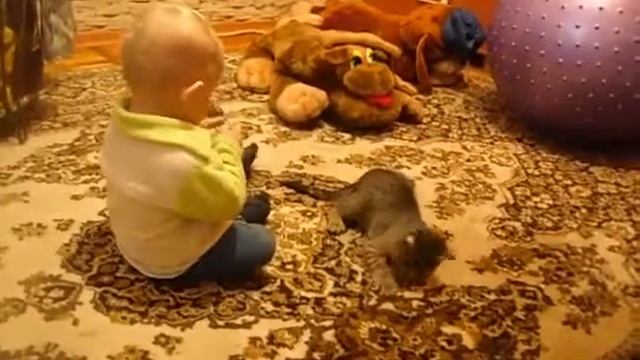 Неугомонный Барсик и Даник (музыка - "Раз морозною зимой") смотреть онлайн