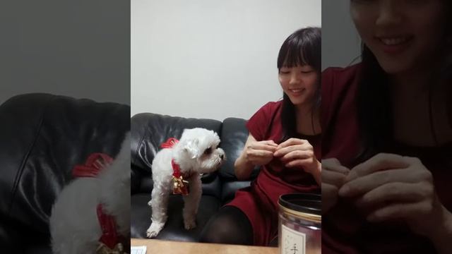 紅豆小王子 - 不會套圈圈 但我會放頭 смотреть онлайн