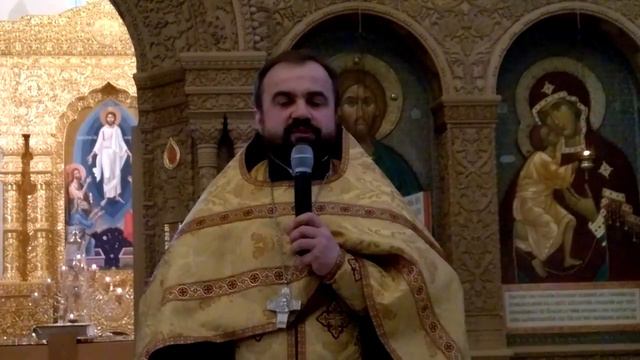 WP 2017-01-29 11:50 Поздравления и объявления смотреть онлайн