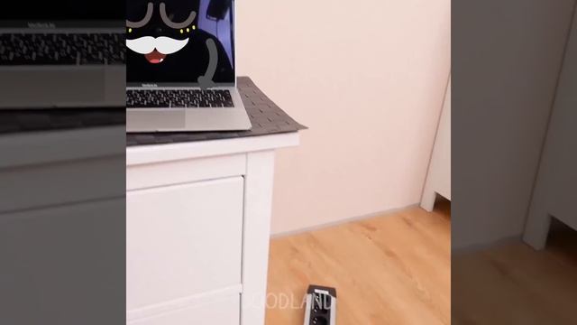 Sunny Adventures Of Tricky Doodles || Funny Guys And Their Daily Struggles - #Doodland 1130 смотреть онлайн