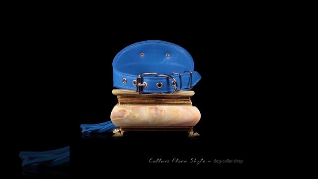 Leather dog collar for Sighthound Greyhound Afghan Hound Saluki Galgo Azawakh Lurcher Borzoi dog смотреть онлайн