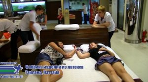 Таиланд: Латексная фабрика в Паттайе