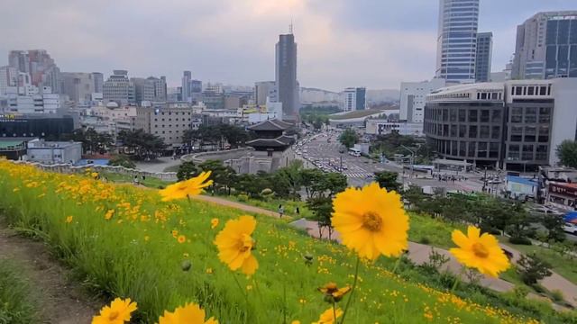 Mark Masri "Torna A Surriento" смотреть онлайн